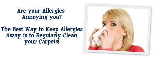 Carpet Cleaning Huntington,  NY