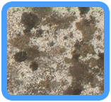 Huntington,  NY Water Damage Restoration